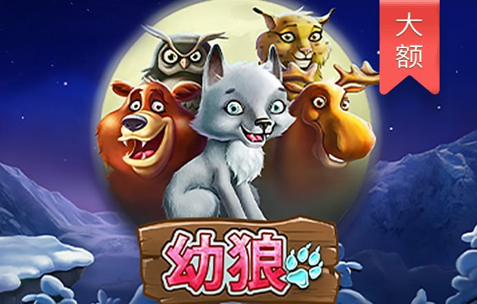 b体育登录